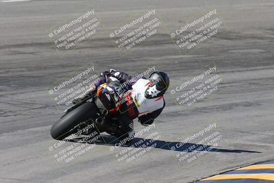 media/Feb-04-2024-SoCal Trackdays (Sun) [[91d6515b1d]]/4-Bowl Backside (11am)/